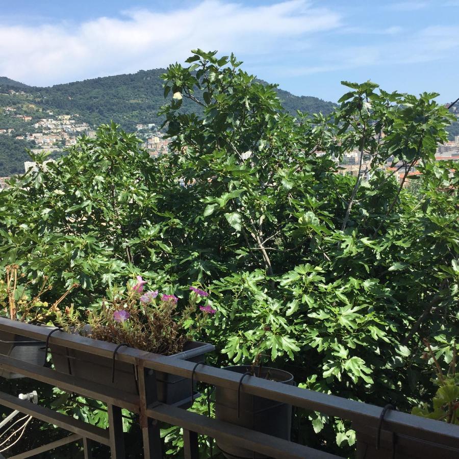 Appartement 02 Vue Panoramique -Wifi- Parking Prive -Ница Екстериор снимка